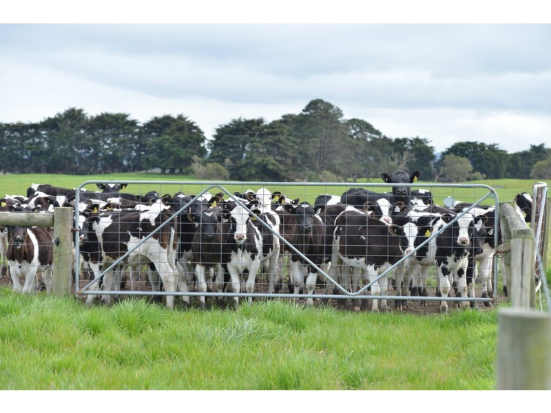 64A Honeys Road, Wonthaggi VIC 3995