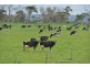 64A Honeys Road, Wonthaggi VIC 3995