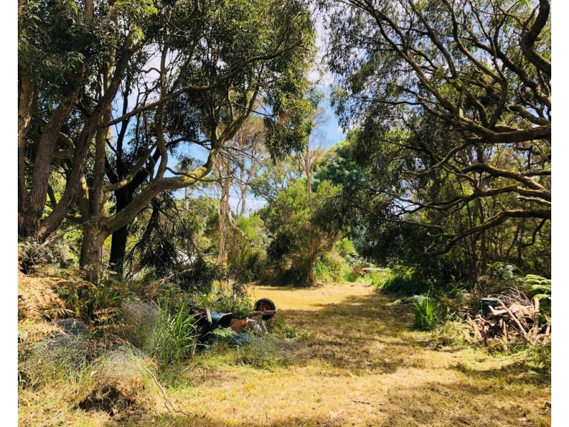 19 Melaleuca Ave, Walkerville VIC 3956