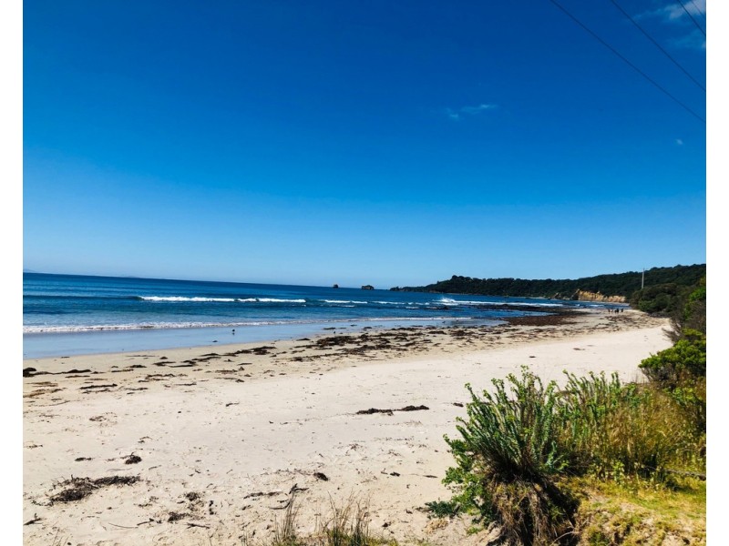 19 Melaleuca Ave, Walkerville VIC 3956