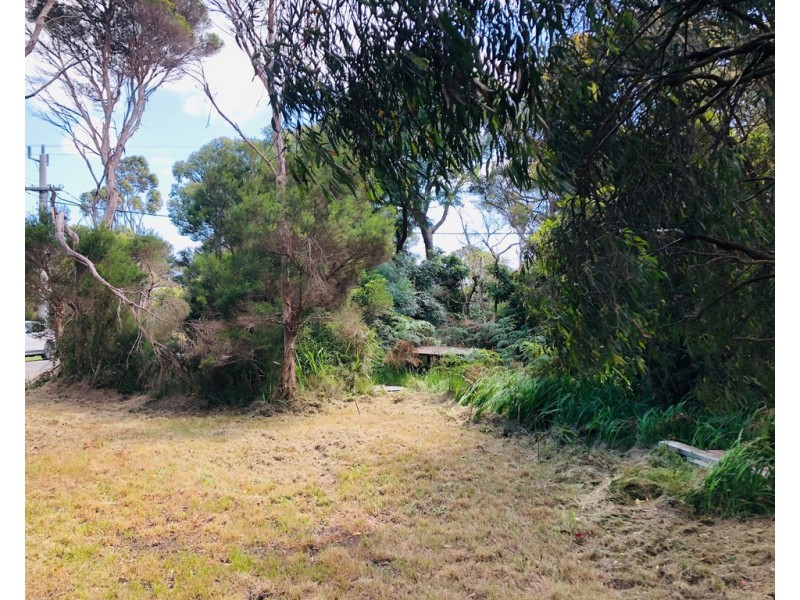 19 Melaleuca Ave, Walkerville VIC 3956