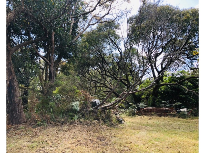 19 Melaleuca Ave, Walkerville VIC 3956