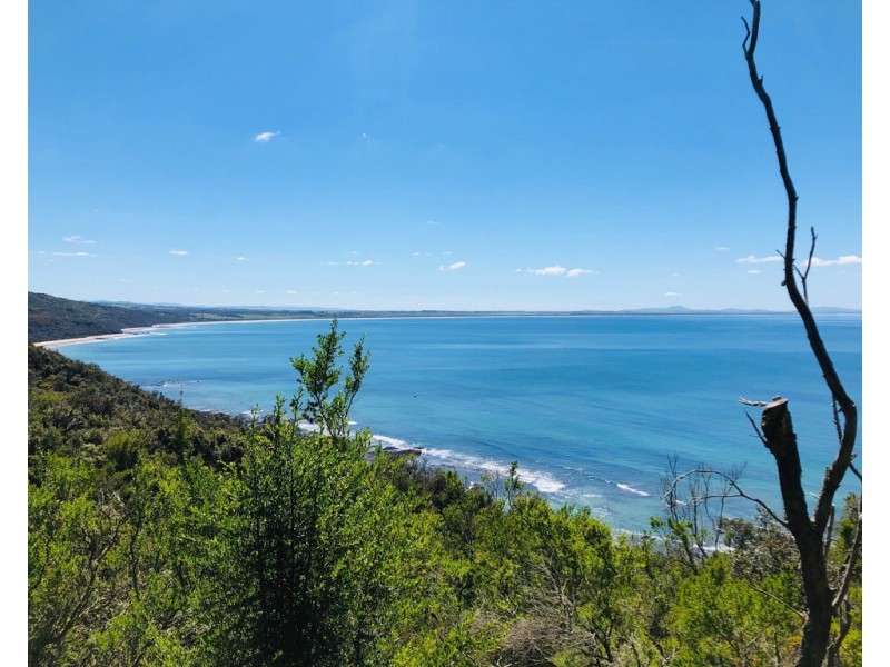 19 Melaleuca Ave, Walkerville VIC 3956