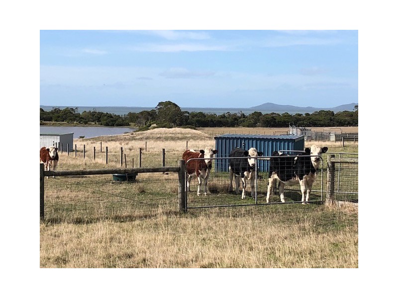 195 Shellcott Rd, Yanakie VIC 3960