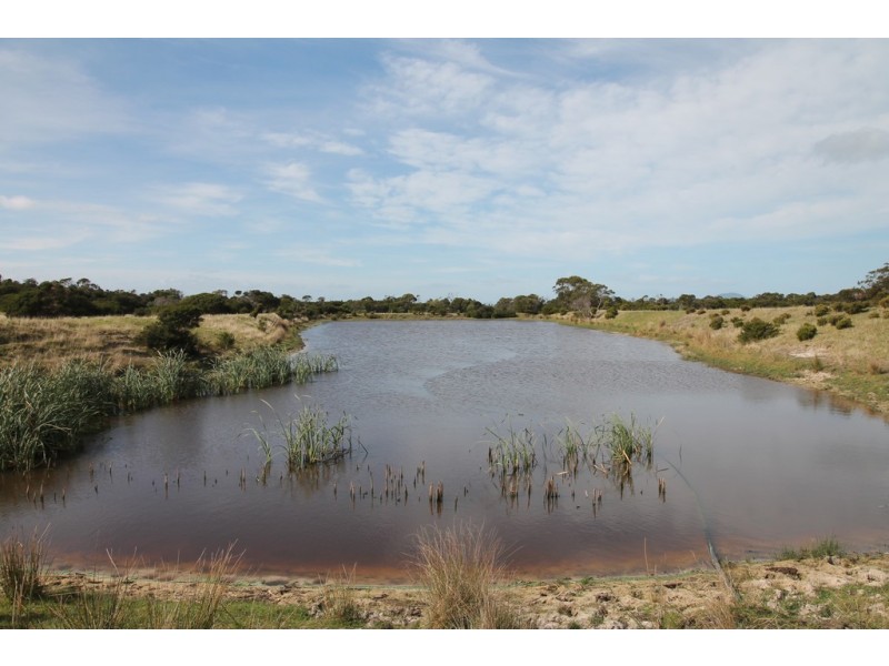 195 Shellcott Rd, Yanakie VIC 3960