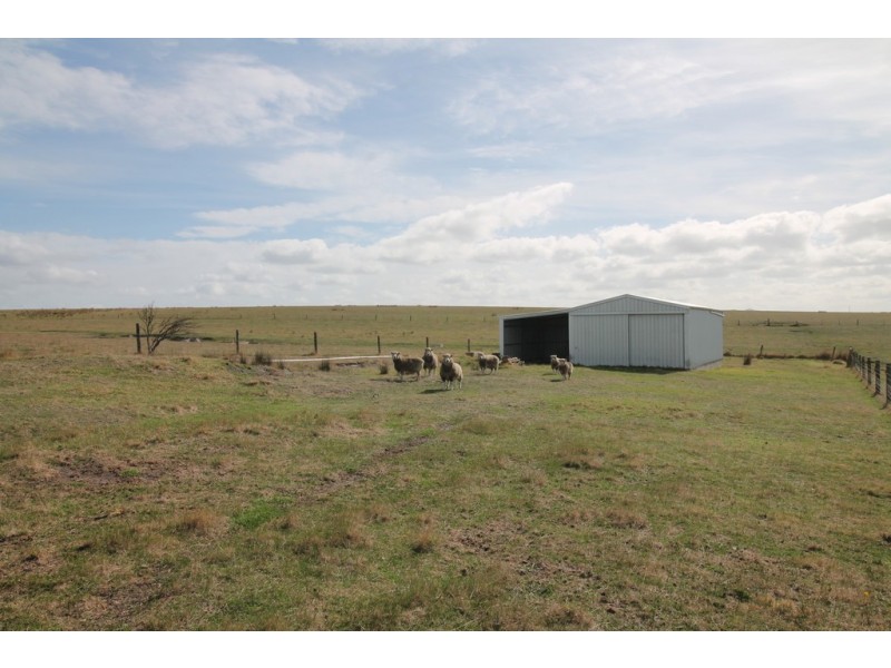 195 Shellcott Rd, Yanakie VIC 3960