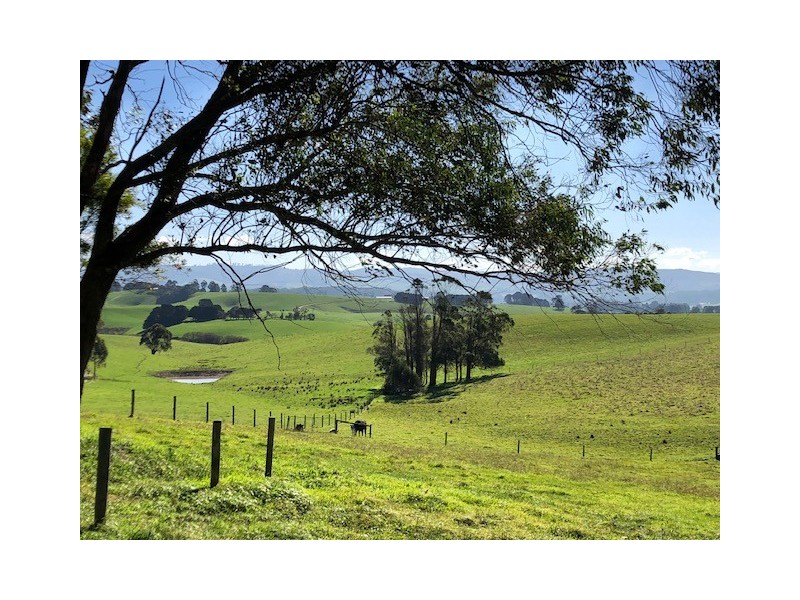 50 Agnes Falls Rd, Toora VIC 3962