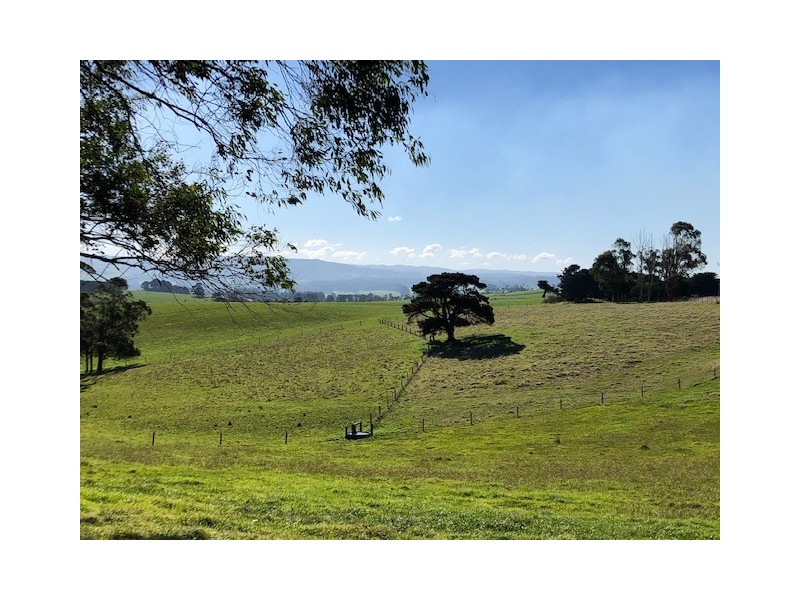 50 Agnes Falls Rd, Toora VIC 3962