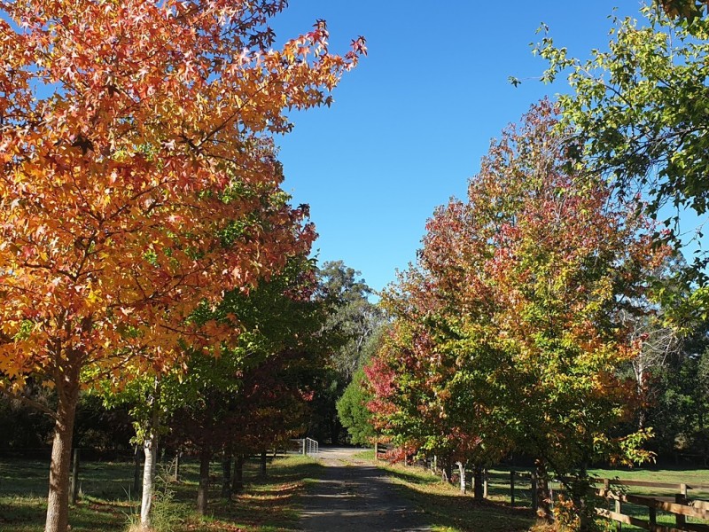 275 Forest Road, Labertouche VIC 3816