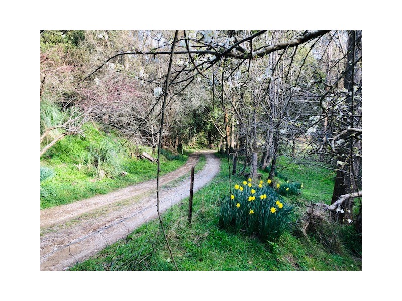 18 McGleads Rd, Foster VIC 3960