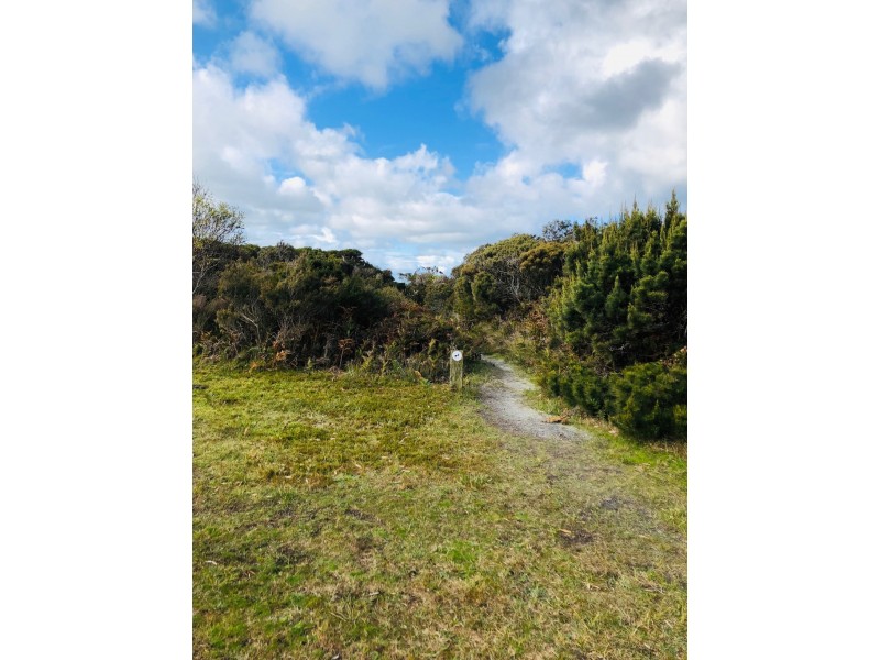 81 Acacia Rd, Walkerville VIC 3956