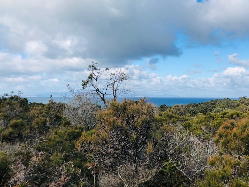 81 Acacia Rd, Walkerville VIC 3956