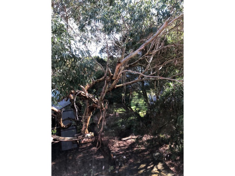 81 Acacia Rd, Walkerville VIC 3956