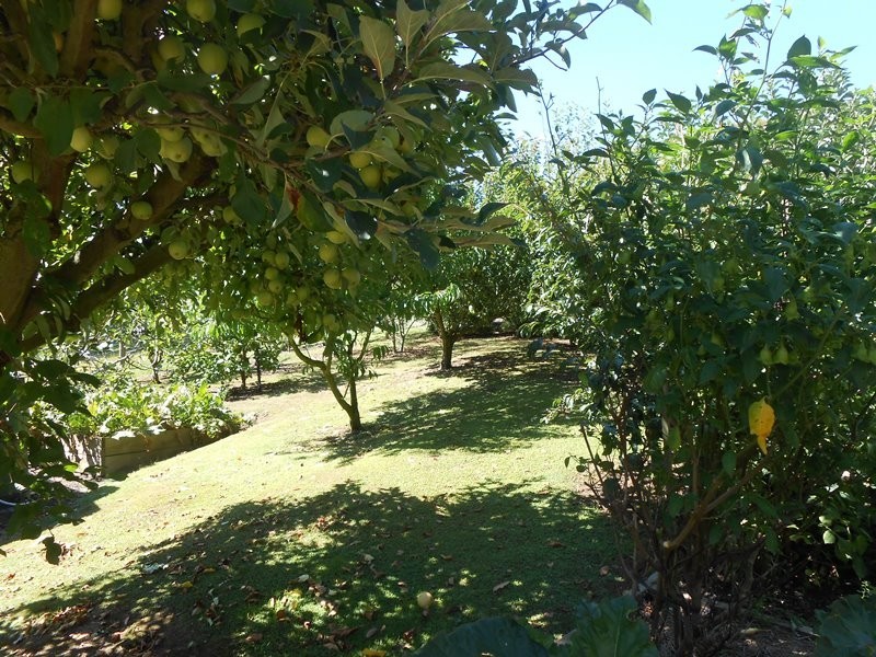 150 Hedley Range Road, Welshpool VIC 3966