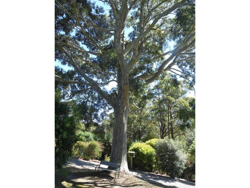 150 Hedley Range Road, Welshpool VIC 3966