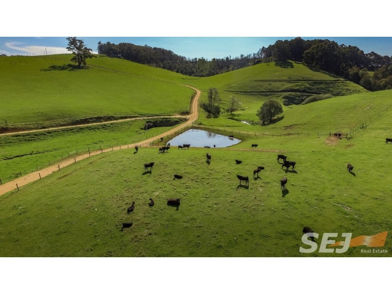 178 Dawsons Rd, Hallston VIC 3953