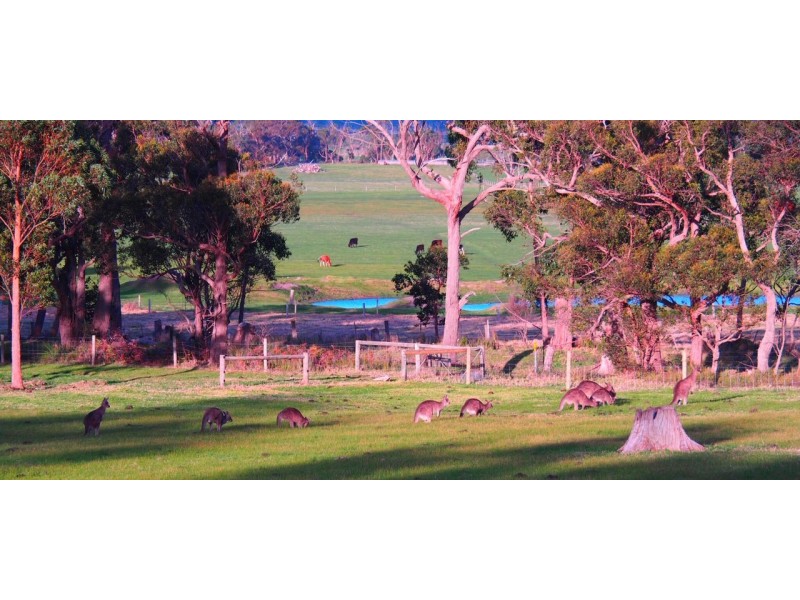 134 Askews Rd, Alberton West VIC 3971