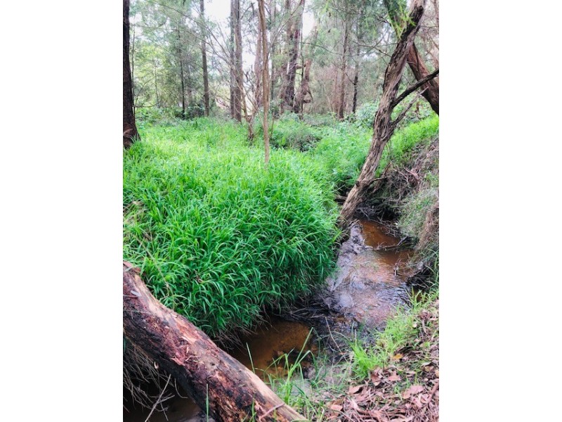 61 Harmon Rd, Foster VIC 3960