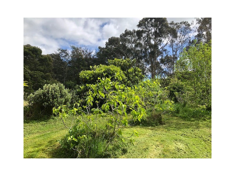 61 Harmon Rd, Foster VIC 3960