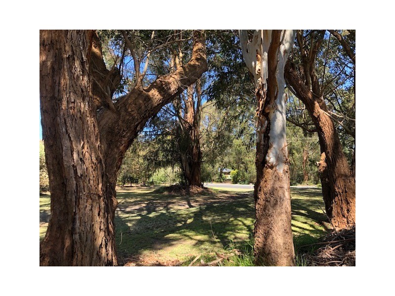 7 Jay Rd, Foster VIC 3960