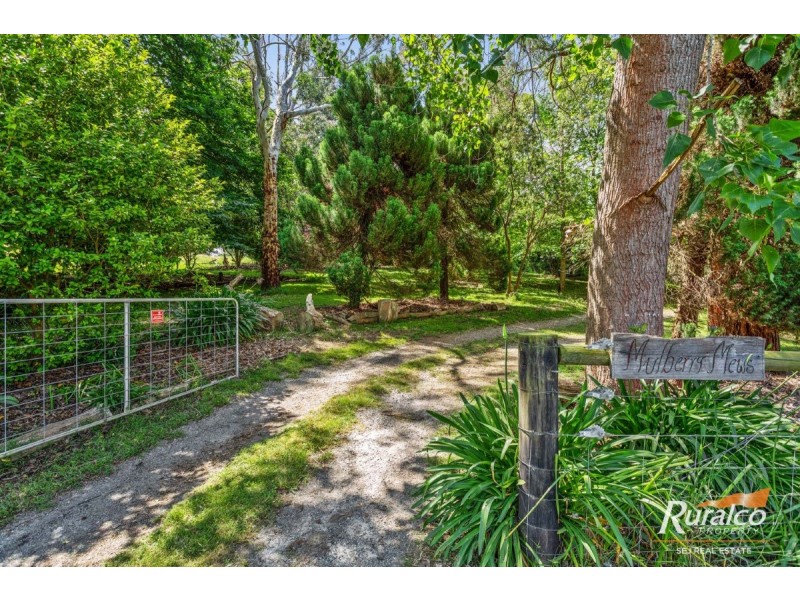 362 Mirboo Road, Mirboo VIC 3871