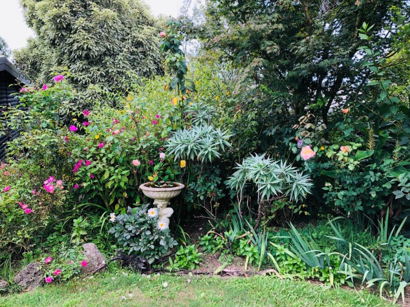 55 Old Waratah Rd, Fish Creek VIC 3959