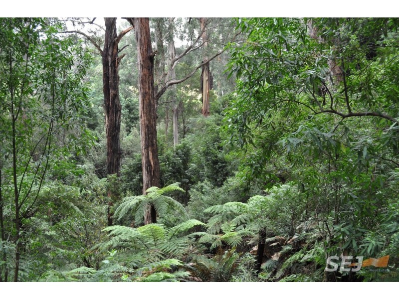 1050 Leongatha-Yarragon Road, Hallston VIC 3953