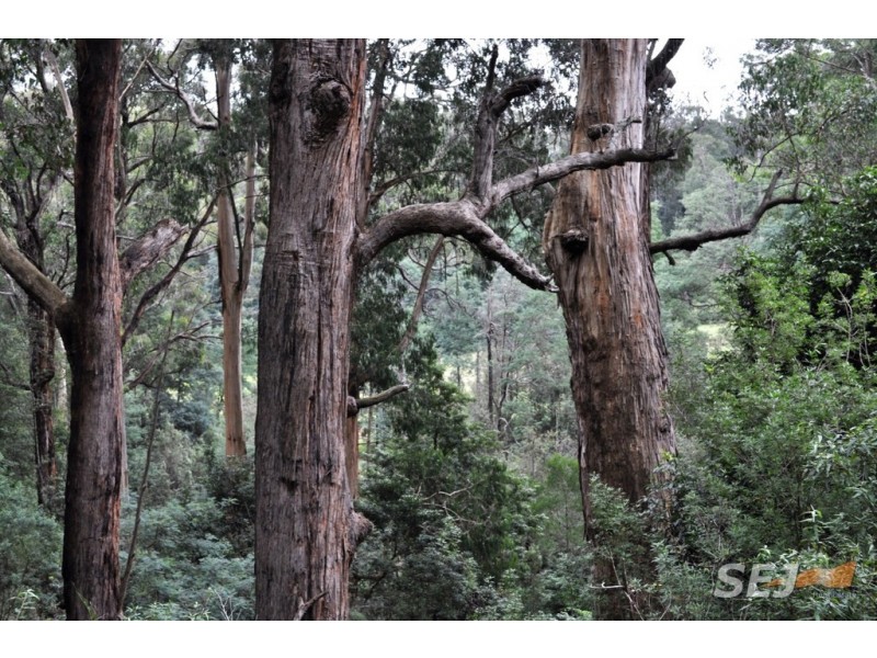 1050 Leongatha-Yarragon Road, Hallston VIC 3953