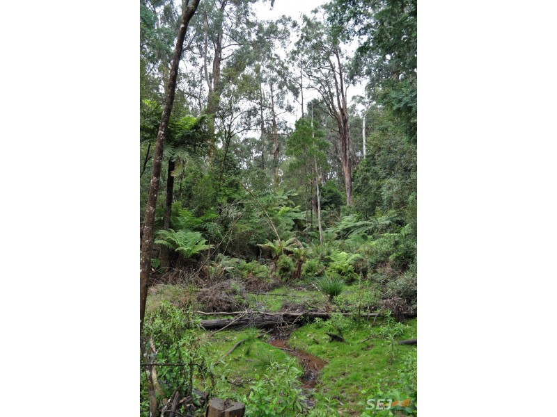 1050 Leongatha-Yarragon Road, Hallston VIC 3953