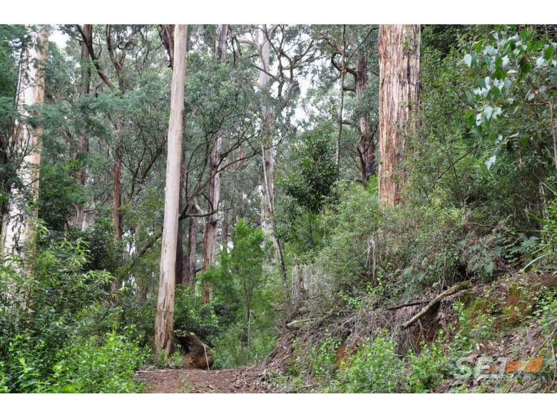 1050 Leongatha-Yarragon Road, Hallston VIC 3953