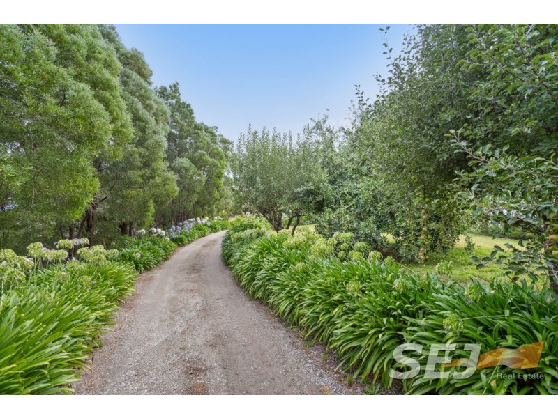 1081 Darnum-Allambee Road, Cloverlea VIC 3822