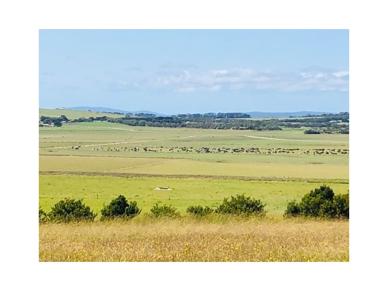 6 Wood Crt, Yanakie VIC 3960