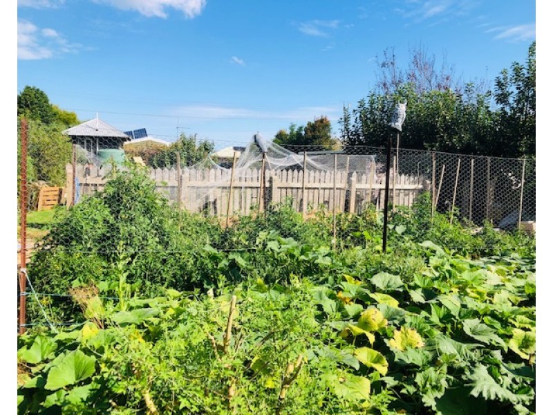 16 Tramway St, Port Franklin VIC 3964