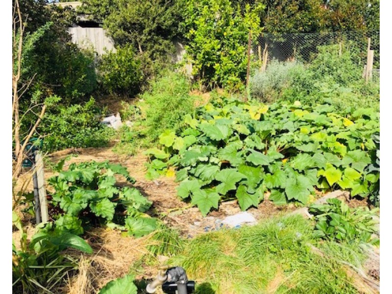 16 Tramway St, Port Franklin VIC 3964