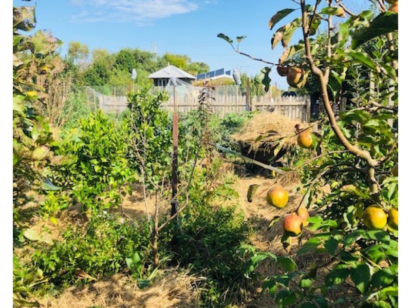 16 Tramway St, Port Franklin VIC 3964