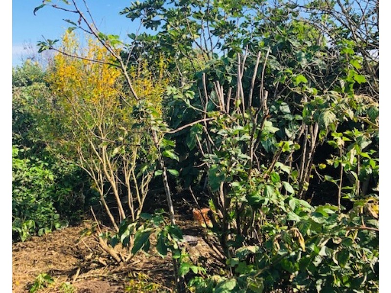 16 Tramway St, Port Franklin VIC 3964