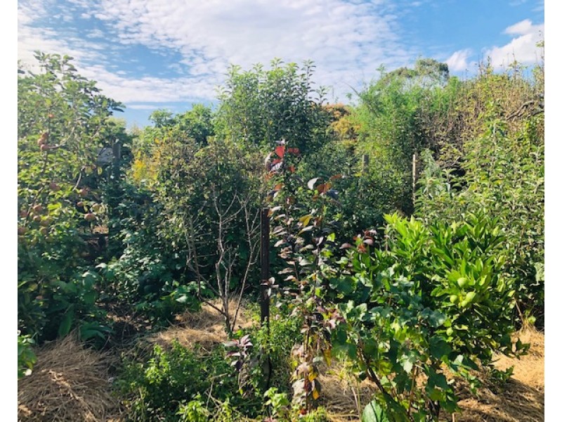 16 Tramway St, Port Franklin VIC 3964