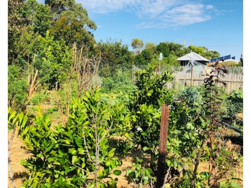 16 Tramway St, Port Franklin VIC 3964