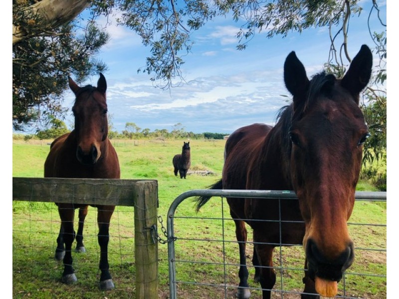 280 Grip Rd, Toora VIC 3962