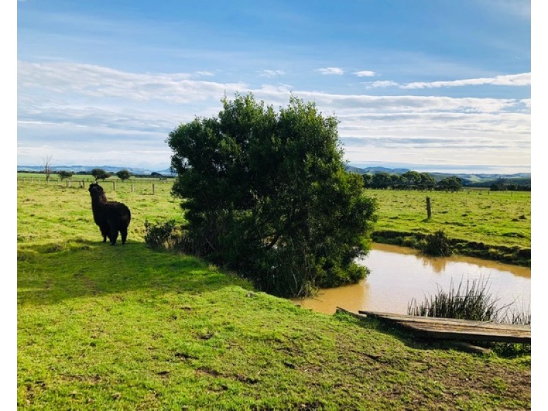 280 Grip Rd, Toora VIC 3962