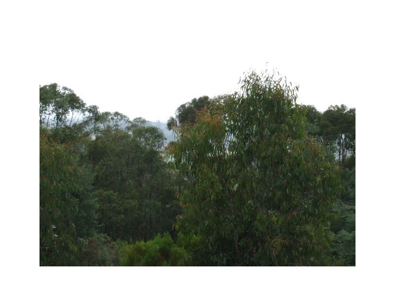 1330 Bloomfield Road, Crossover VIC 3821