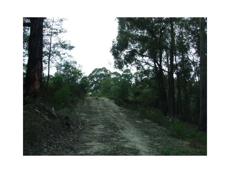 1330 Bloomfield Road, Crossover VIC 3821