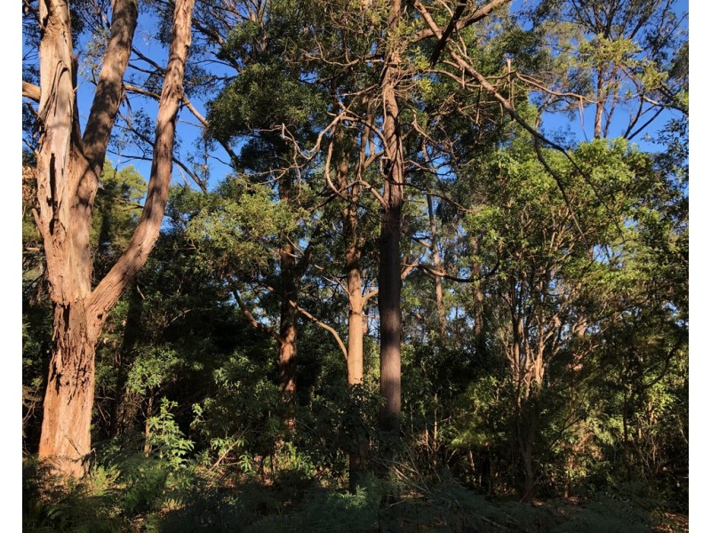 38 Hall Rd, Foster VIC 3960