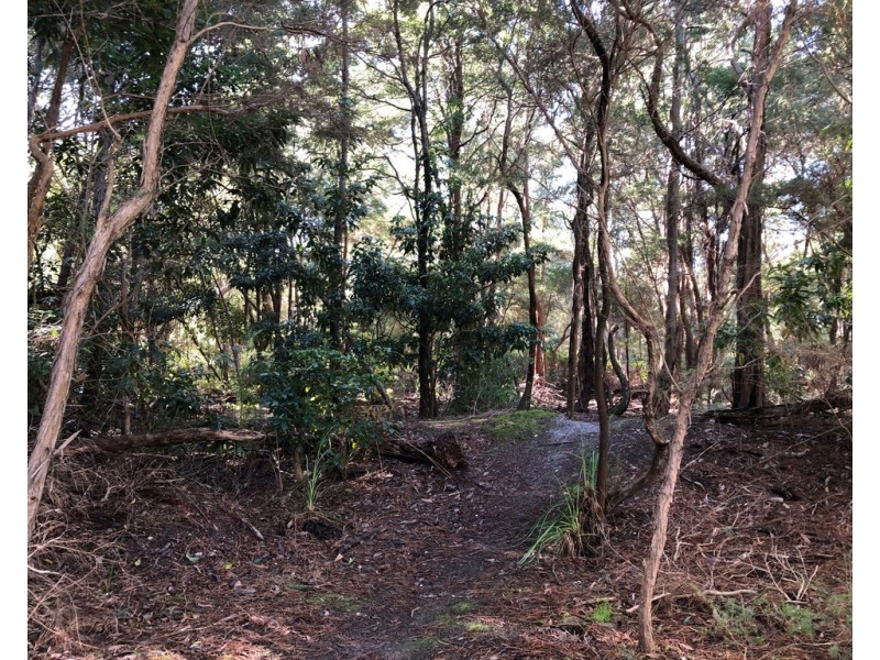 38 Hall Rd, Foster VIC 3960