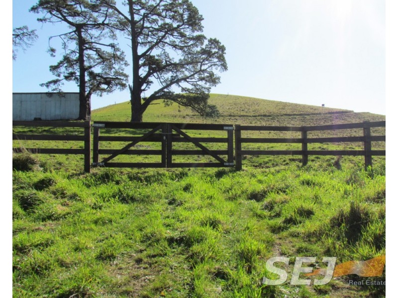 8 Curwen Road, Mountain View VIC 3988