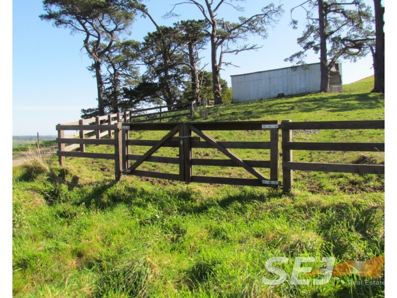 8 Curwen Road, Mountain View VIC 3988