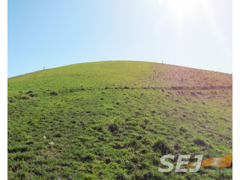 8 Curwen Road, Mountain View VIC 3988