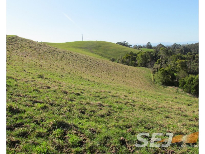 8 Curwen Road, Mountain View VIC 3988