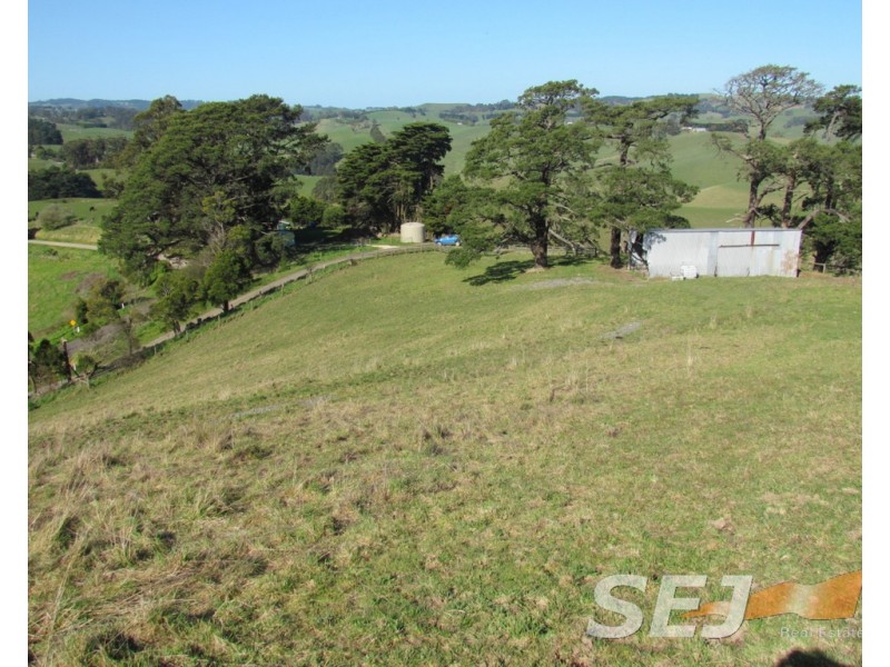 8 Curwen Road, Mountain View VIC 3988