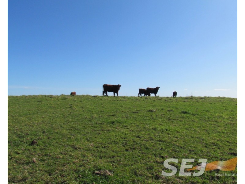 8 Curwen Road, Mountain View VIC 3988